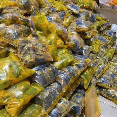 Purple Horn Bagger Gummi Motorlager SH120A3 Motorkissen